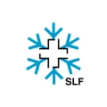 White Risk - SLF Lawinen-App icon