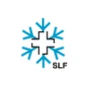 White Risk - SLF Lawinen-App icon