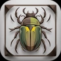 Käfer & Insekten Bestimmen icon