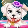 Spa & Salon de Chiots icon
