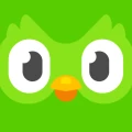 Duolingo: Language Lessons icon