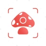 Picture Mushroom - Pilzführer icon