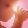 Grossesse + | Appli de Suivi icon