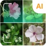 Identifiant de plante icon