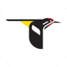 Merlin Bird ID par Cornell Lab icon