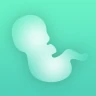 Contractions de grossesse 9m icon