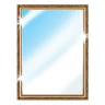 パーフェクトミラー icon