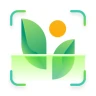 Pflanzenbestimmung & Pflege icon