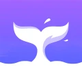 Rocnovel icon