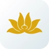 Vietnam Airlines icon