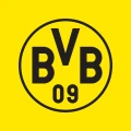 BVB icon