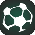TEAMPUNKT icon
