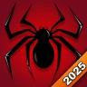 Spider Solitaire Classique icon