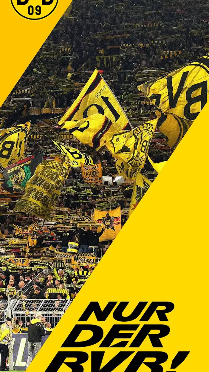 BVB screenshot 1