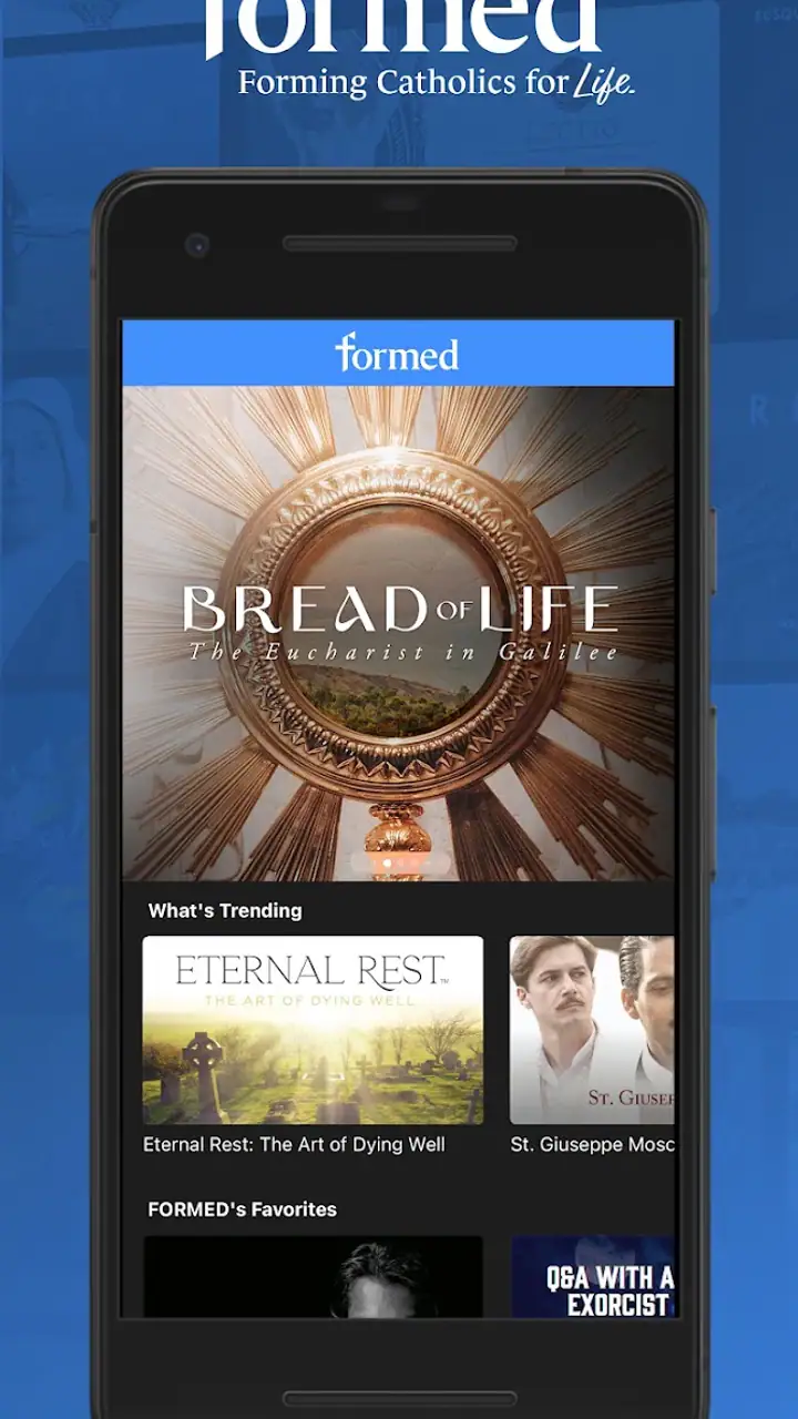 Formed screenshot 1