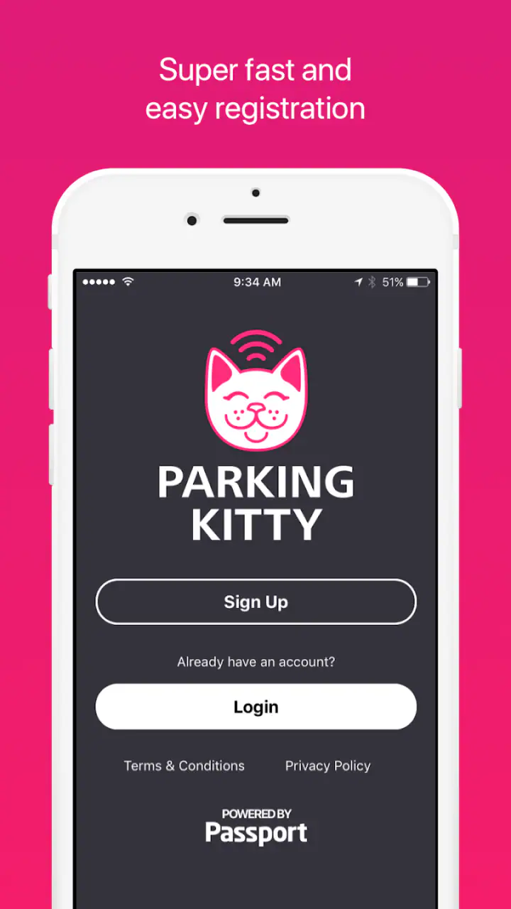 Parking Kitty screenshot 1
